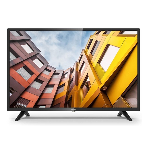[02182802] TV 24 LE2466T2